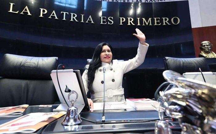 Convoca Ana Lilia Rivera a trabajar por estabilidad, paz y prosperidad de México