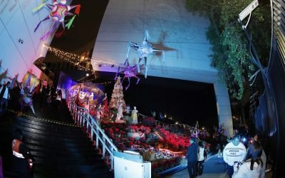 Encienden árbol navideño del Senado de la República