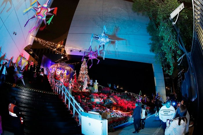 Encienden árbol navideño del Senado de la República