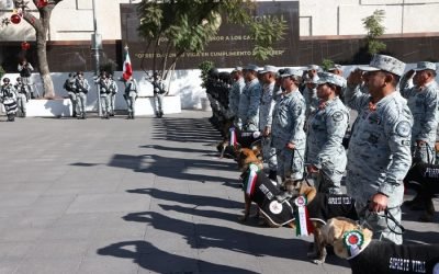 Guardia Nacional jubila a 34 canes que culminaron periodo de servicio