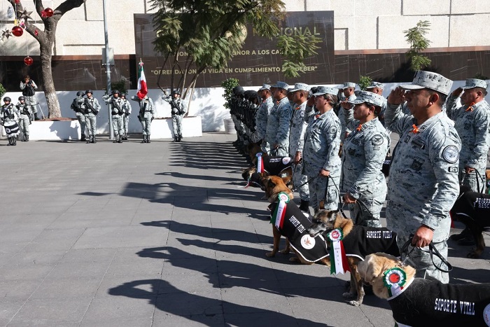 Guardia Nacional jubila a 34 canes que culminaron periodo de servicio