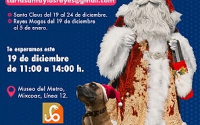 Perritos rescatados del Metro de la CDMX se suman al equipo de Santa Claus y los Reyes Magos