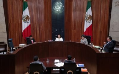 Promete Soto regresar armonía interna al TEPJF