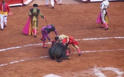 Jueza ordena la suspensión inmediata de las corridas de Toros