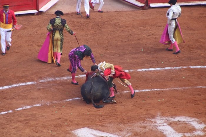 Jueza ordena la suspensión inmediata de las corridas de Toros