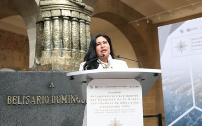 Diplomacia, fundamental para resolver conflictos multilaterales, destaca la senadora Ana Lilia Rivera