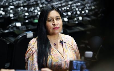 Discusión abierta, plural y democrática para analizar iniciativas del Ejecutivo: Ana Lilia Rivera