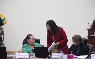 Demanda INE a partidos no obstaculizar verificaciones