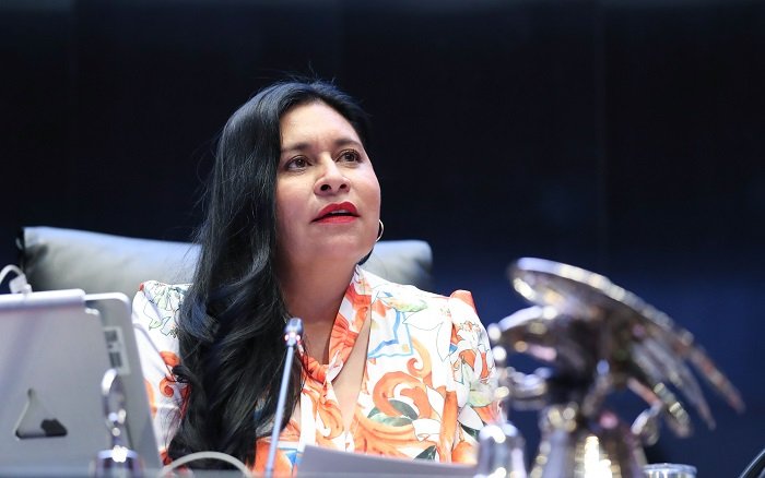 Senado condena  enérgicamente irrupción de policía ecuatoriana en embajada de México