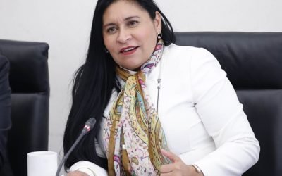 Necesario, poner en marcha políticas públicas para la salud bucal, destaca Ana Lilia Rivera