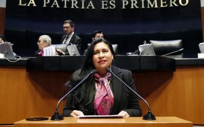 Hay tiempo suficiente para analizar iniciativas del Ejecutivo Federal, considera Ana Lilia Rivera