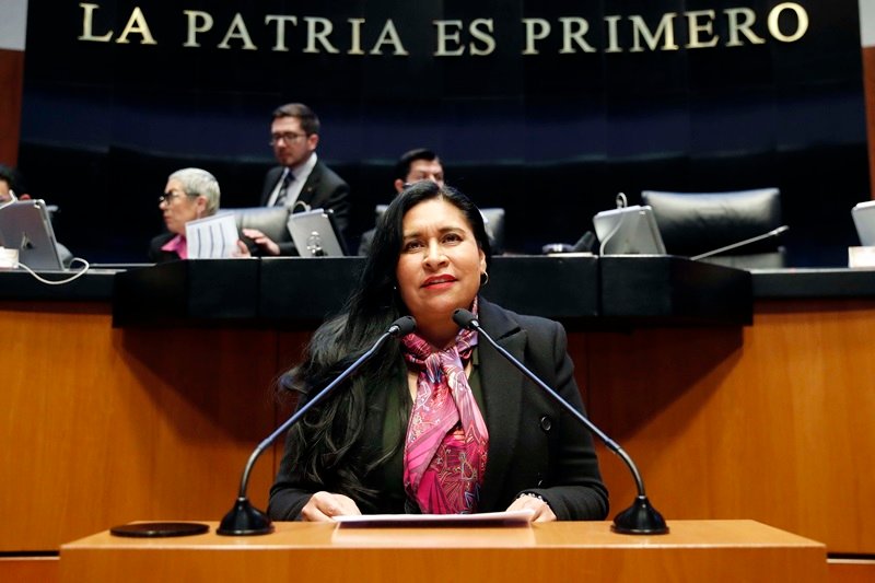 Hay tiempo suficiente para analizar iniciativas del Ejecutivo Federal, considera Ana Lilia Rivera