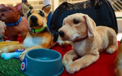 TLALNEPANTLA PRIMER MUNICIPIO A NIVEL NACIONAL EN IMPLEMENTAR LA “ESTRATEGIA PARA EL CUIDADO Y PROTECCIÓN ANIMAL”