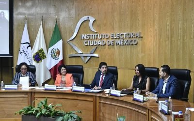 Aprueba IECM criterios para el reparto de lugares de uso común para colocación de propaganda