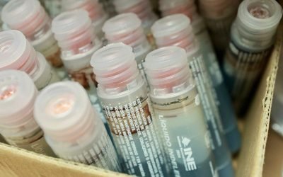 Aprueba INE modelos y producción de materiales electorales, así como del líquido indeleble para el PEEPJF 2024-2025