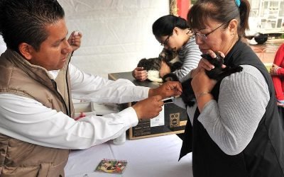 Inicia Jornada Nacional de Vacunación Antirrábica Canina y Felina 2024 en el Estado de México