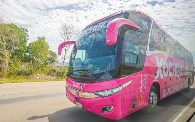 Presenta Xóchitl Gálvez Xóchibus