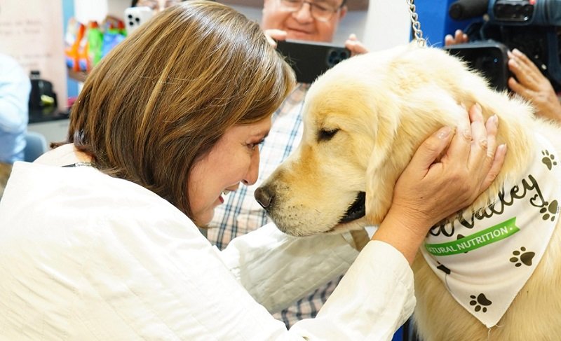 Llama Xóchitl Gálvez a salvar la democracia desde las urnas