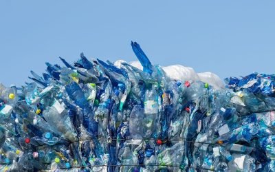 En aumento la recuperación y reciclaje de envases de PET en México: ECOCE