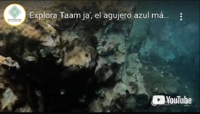 Agujero azul de Taam ja’ en la bahía de Chetumal, México, es el más profundo del mundo: Ecosur-Conahcyt