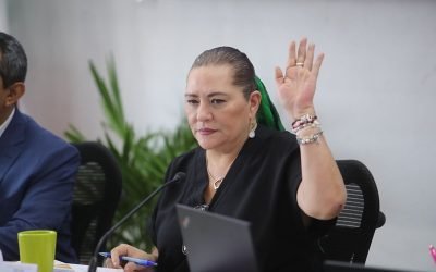 Rechaza INE establecer medidas contra programas sociales durante campañas