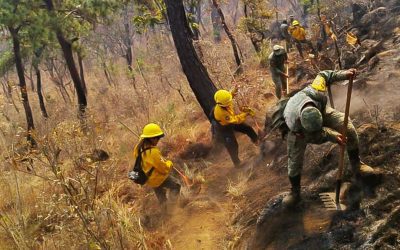 Edomex despliega a más de 150 brigadistas para combatir incendios en Valle de Bravo