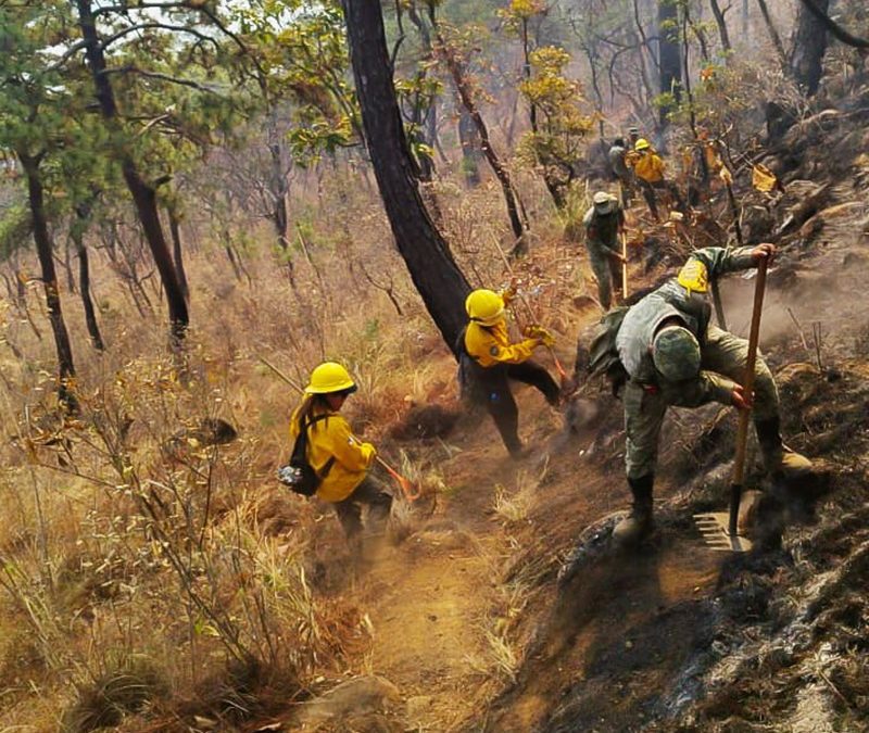 Edomex despliega a más de 150 brigadistas para combatir incendios en Valle de Bravo