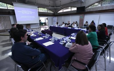 Misión de Acompañamiento de IDEA Internacional se reúne con autoridades del IECM