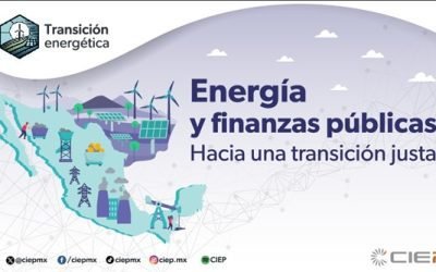 Transición energética, un desafío más para las finanzas públicas: inversiones no apuestan por generación de energías limpias