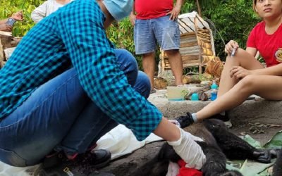 Continúan los recorridos de monitoreo y la atención clínica en las entidades del sureste a primates