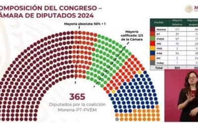 Frente Cívico Nacional anuncia manifestación en el INE vs sobre representación legislativa