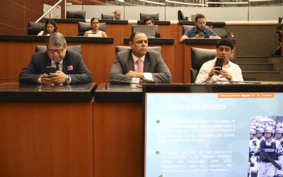 Presentan en el Senado de la República informe sobre la Guardia Nacional y las Fuerzas Armadas