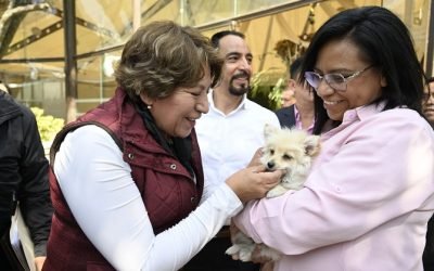 En el EdoMéx 64 lomitos y michis han encontrado un hogar con “La Mejor Juagada es Adoptar”