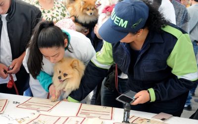 Promueven en la entidad mexiquense el bienestar animal con caminata y caravanas de atención a mascotas y animales en situación de calle