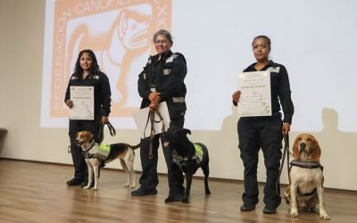 Premian a unidades caninas de Agricultura por su trabajo para detectar productos agroalimentarios de alto riesgo