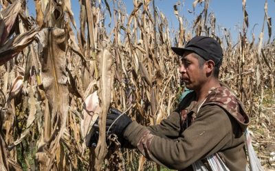 Gobierno mexiquense cuenta con un fondo de apoyo ante fallecimiento de campesinos