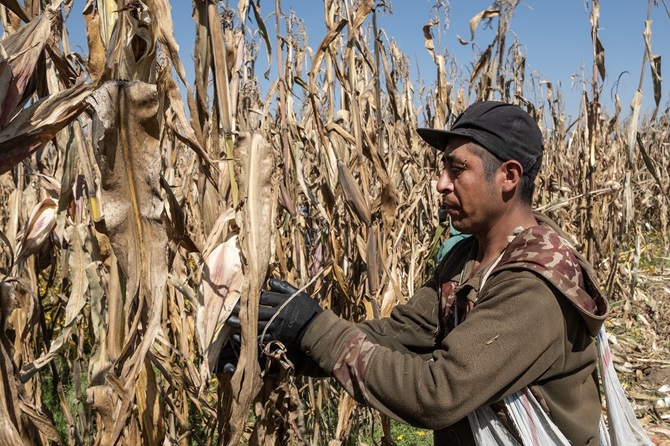 Gobierno mexiquense cuenta con un fondo de apoyo ante fallecimiento de campesinos