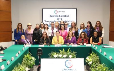 Fundamental, asegurar que México tenga los ingresos para las reformas con impacto presupuestal que necesitan las mujeres: Marcela Guerra Castillo