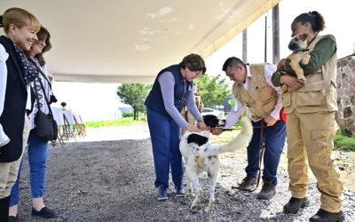 Refrenda Gobernadora Delfina Gómez Álvarez su compromiso con los seres sintientes