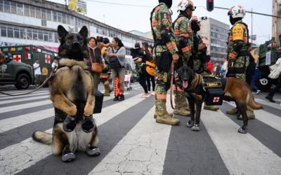 Desfile militar 16 de septiembre 2026: horario, ruta y calles cerradas en CDMX
