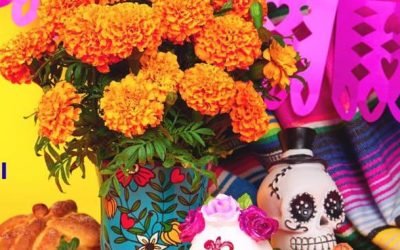 El cempasúchil del Suelo de Conservación florece en Xochimilco con el Sendero de las Almas