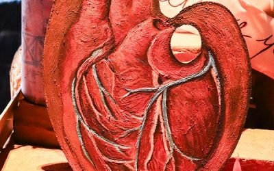 Crean en IPN estetoscopio que detecta daño cardiaco mediante Inteligencia Artificial