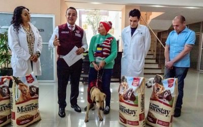 Alcalde de GAM dotará con 6 meses de croquetas a adoptantes de “perritos peregrinos”
