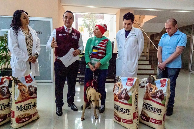 Alcalde de GAM dotará con 6 meses de croquetas a adoptantes de “perritos peregrinos”