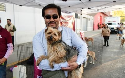 Encuentran hogar 240 lomitos y michis con el programa “Adopción Responsable” impulsado por Delfina Gómez Álvarez