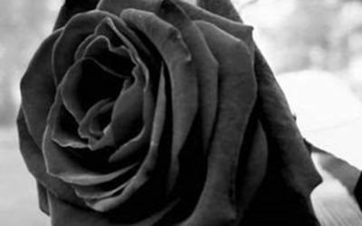 México está de luto: Alito