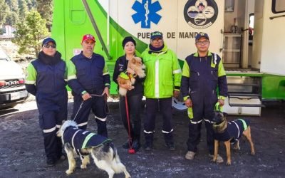 Supervisa Gobierno del EdoMéx servicios de emergencias en el Nevado de Toluca