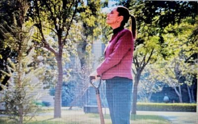 2025 “será un gran año”, dice Sheinbaum