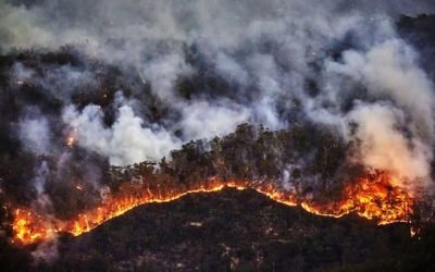 Crean app en el IPN para prevenir incendios forestales a través de Inteligencia Artificial