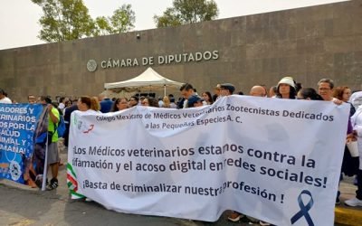 Protestan médicos veterinarios en Cámara de Diputados